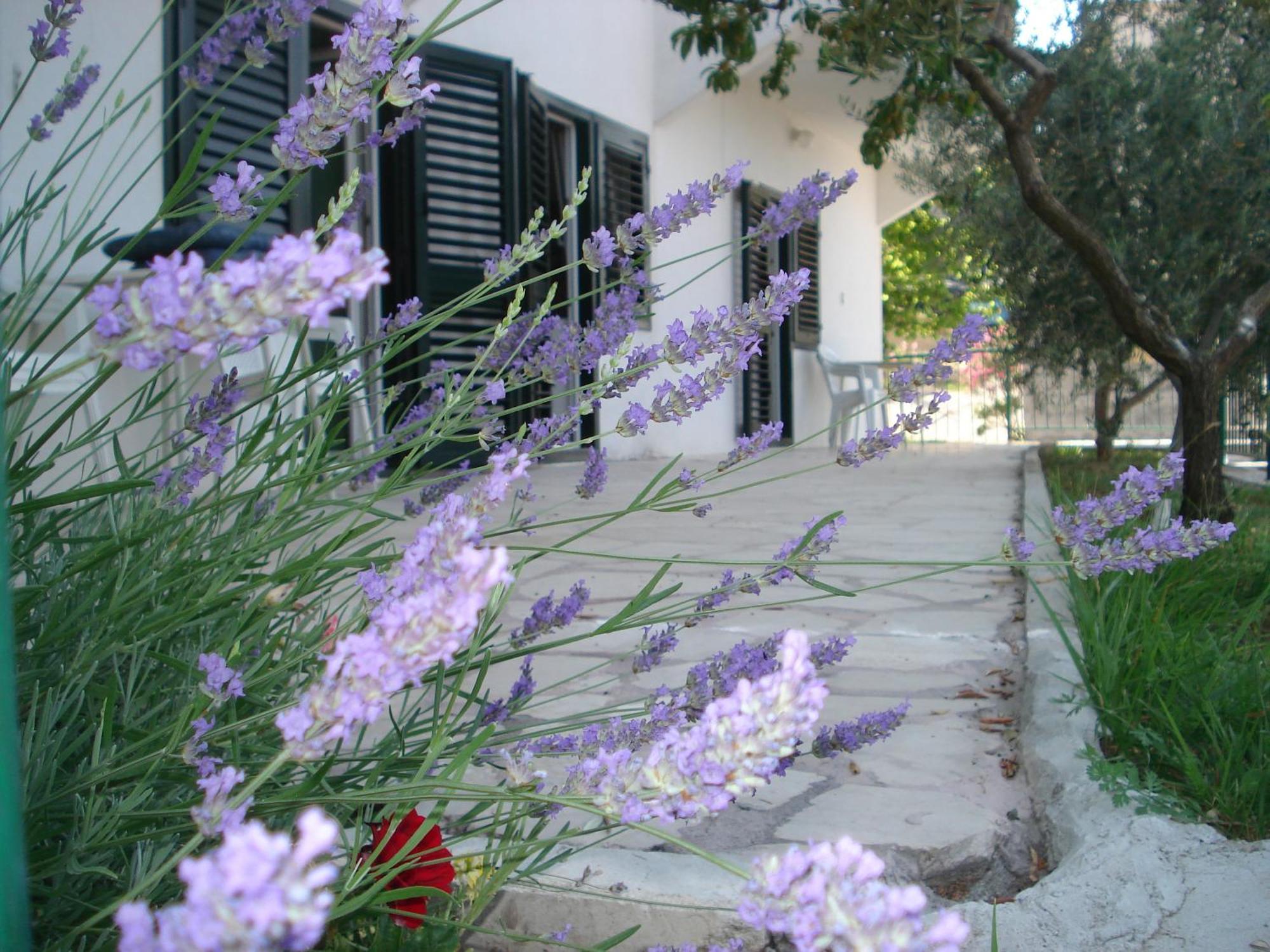 Apartments Smiljana أوميس المظهر الخارجي الصورة